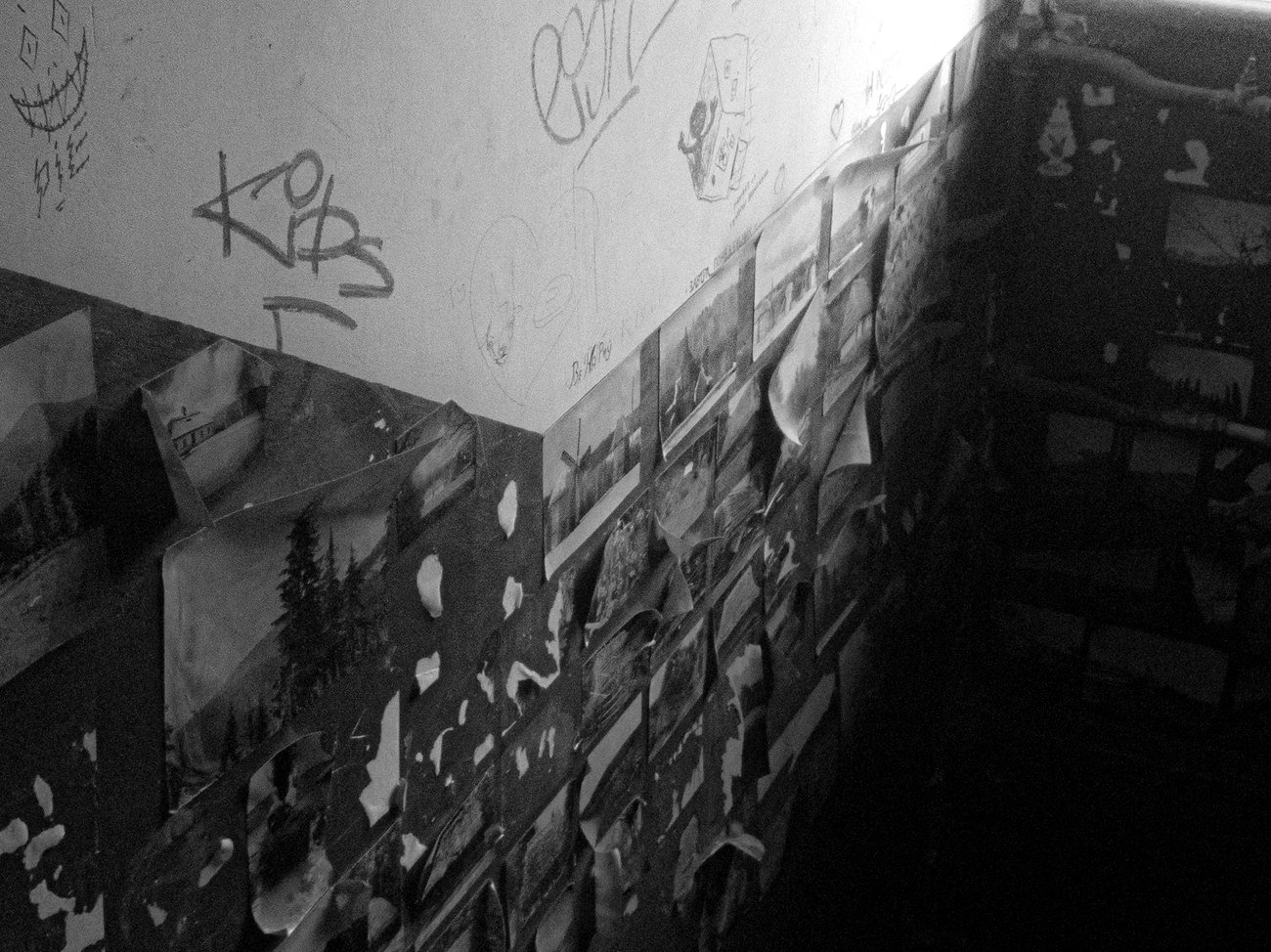 A wall of faded photos and graffiti in a derelict building
